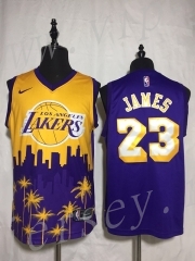 Los Angeles Lakers&Mn Joint Name Edition #23 NBA Jersey
