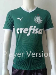 Player Version 2022-2023 SE Palmeiras Home Green Thailand Soccer Jersey AAA-807