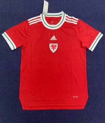 2022-2023 Wales Home Red Thailand Soccer Jersey AAA-2390