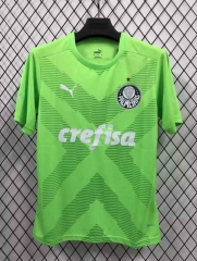 2023-2024 SE Palmeiras Green Thailand Training Soccer Jersey AAA-1959