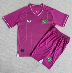 2023-2024 Ireland Goalkeeper Pink Soccer Uniform-AY