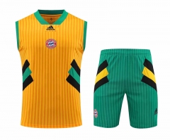 2023-2024 Bayern München Yellow Thailand Soccer Vest Uniform-418