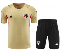 2023-2024 Sao Paulo Futebol Clube Khaki Short Sleeve Thailand Soccer Tracksuit-418