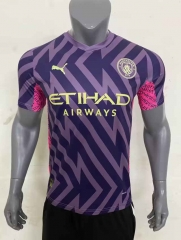 2023-2024 Manchester City Goalkeeper Purple Thailand Soccer Jersey AAA-416