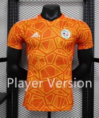 Player Version 2023-2024 Algeria Yellow Thailand Soccer Jersey AAA-888
