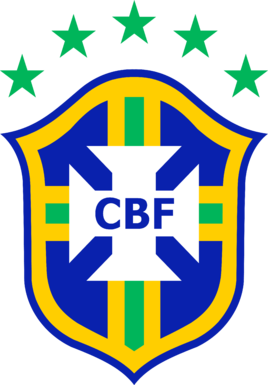Brazil soccer jersey