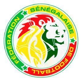 Senegal soccer jersey