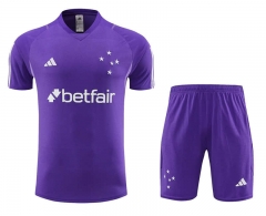 2023-2024 Cruzeiro Esporte Clube Purple Thailand Soccer Uniform AAA-4627