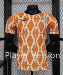Player Version 2023-2024 Ivory Coast Orange Thailand Soccer Jersey AAA-888