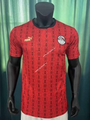 2023-2024 Egypt Home Red Thailand Soccer Jersey AAA-305