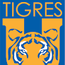Tigres UANL soccer jersey