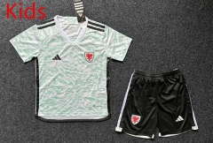 2024-2025 Wales White&Green Kids/Youth Soccer Uniform-5526