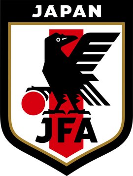 Japan soccer jersey