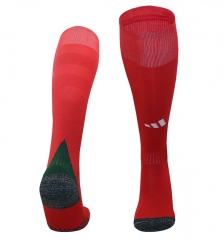 2024-2025 Wales Home Red Thailand Soccer Socks-4539
