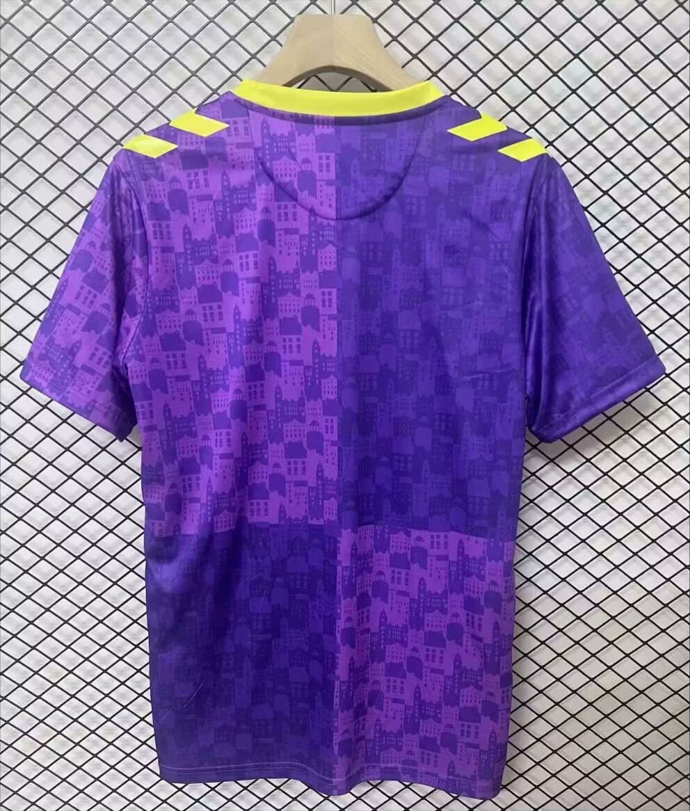 2024-2025 Málaga CF Purple Thailand Training Soccer Jersey AAA-2044