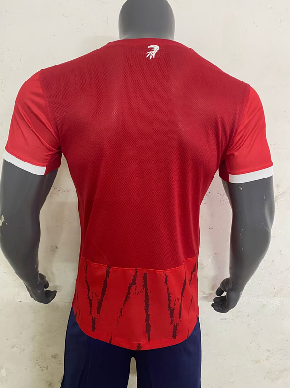 2024-2025 SC Freiburg Home Red Thailand Soccer Jersey AAA-416
