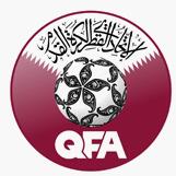 Qatar soccer jersey