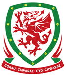 Wales soccer jersey