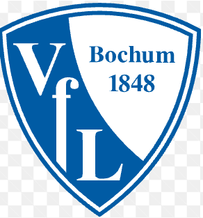 VfL Bochum soccer jersey
